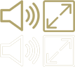 Audio Icon