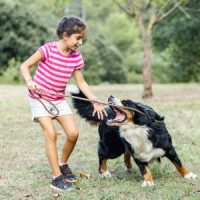 Child_DogBite Child_DogBite