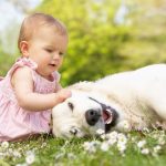 BabyWithDog BabyWithDog