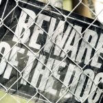BewareDog BewareDog