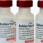 RabiesVaccine RabiesVaccine