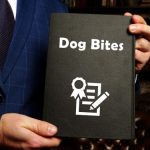 Dog Bites