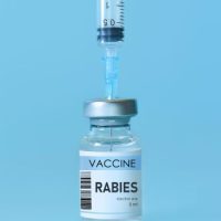 Rabies_