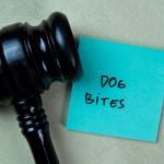 Dog Bite